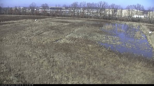 Cell 3_24-02-04_12-47-08-91