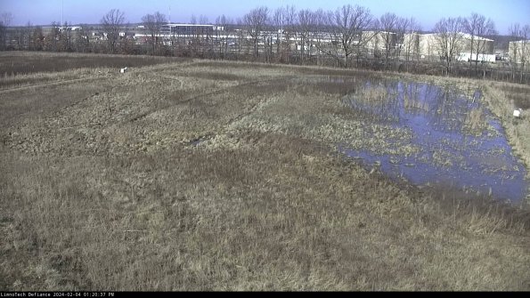 Cell 3_24-02-04_13-20-37-93