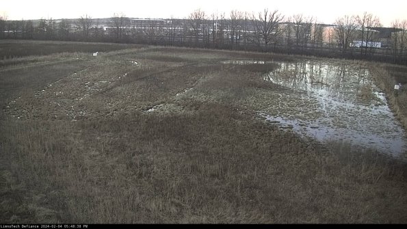 Cell 3_24-02-04_17-48-38-94