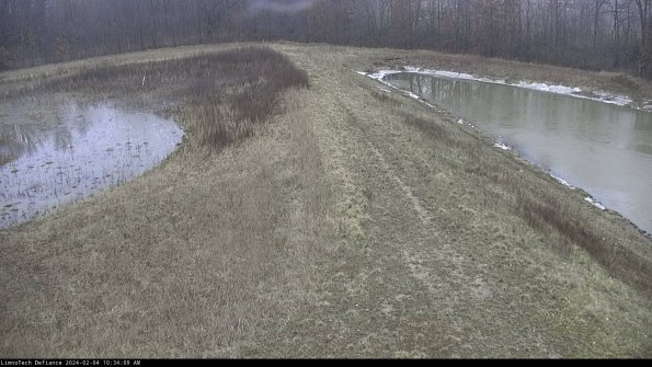 Cell 4 to Basin_24-02-04_10-34-09-92