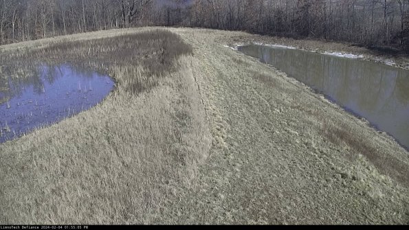 Cell 4 to Basin_24-02-04_13-55-05-94