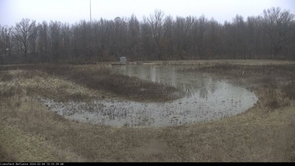 Cell 4_24-02-04_10-33-39-92