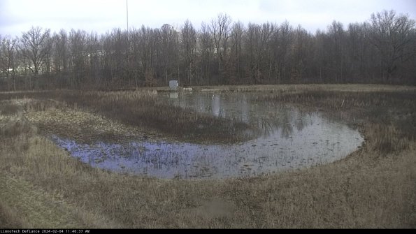 Cell 4_24-02-04_11-40-37-91