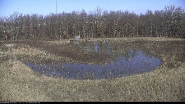 Cell 4_24-02-04_13-21-05-92