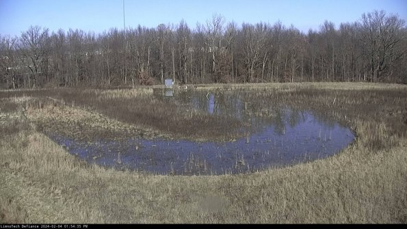 Cell 4_24-02-04_13-54-35-94