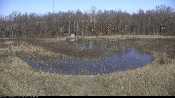 Cell 4_24-02-04_14-28-04-92