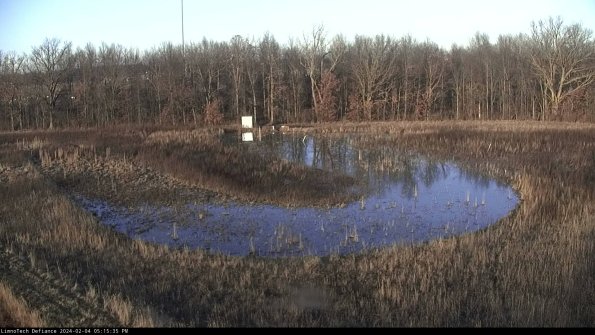 Cell 4_24-02-04_17-15-35-95