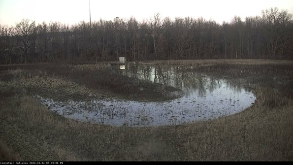 Cell 4_24-02-04_17-49-06-93