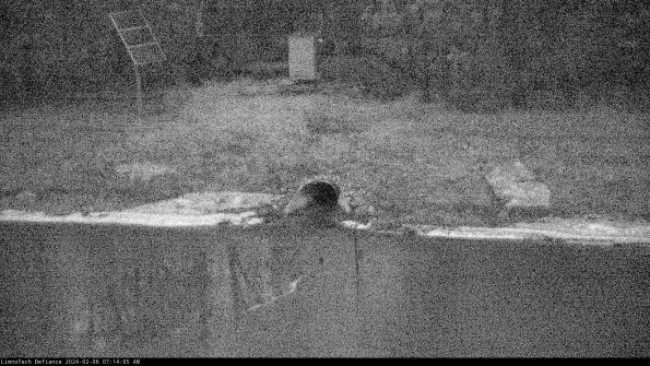 Basin Inflow_24-02-06_07-14-05-93