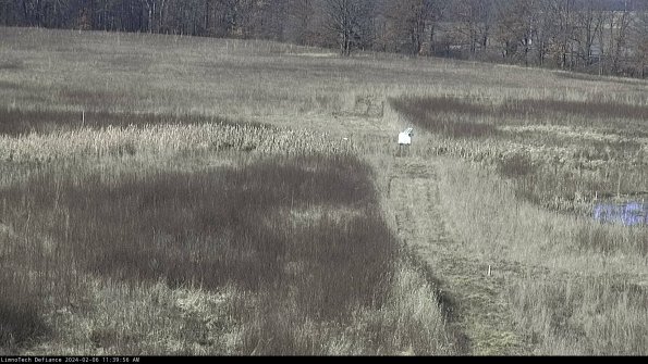 Cell 1 to 2_24-02-06_11-39-56-99