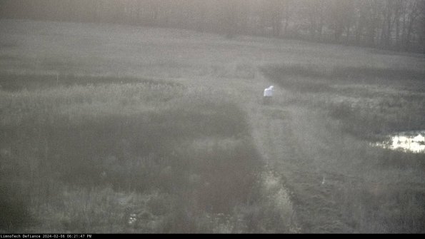 Cell 1 to 2_24-02-06_18-21-47-95