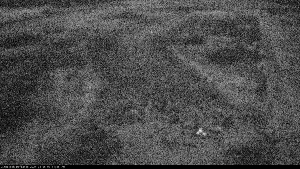 Cell 1_24-02-06_07-11-45-93