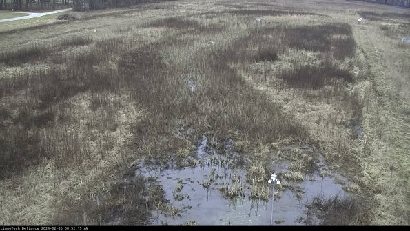 Cell 1_24-02-06_08-52-15-93