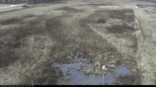 Cell 1_24-02-06_10-32-43-94