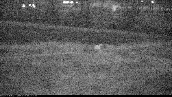 Cell 2 to 3_24-02-06_07-12-26-13