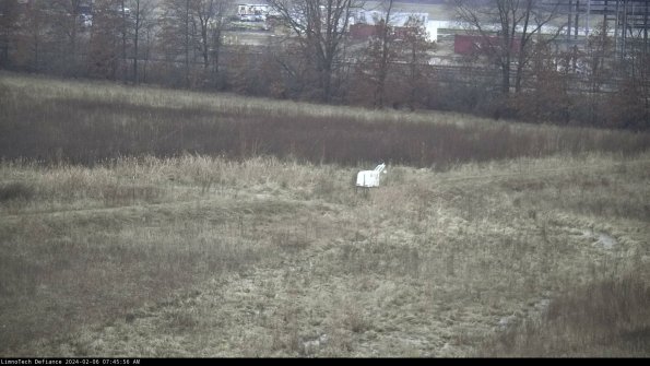 Cell 2 to 3_24-02-06_07-45-57-08