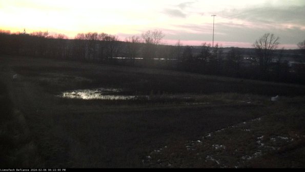 Cell 2_24-02-06_18-22-00-97