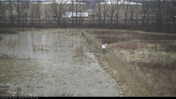 Cell 3 to 4_24-02-06_07-46-25-91