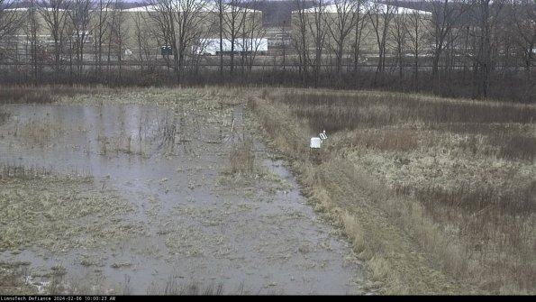 Cell 3 to 4_24-02-06_10-00-23-93