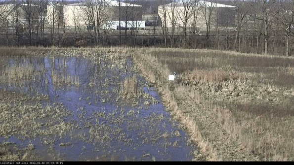 Cell 3 to 4_24-02-06_15-35-16-96