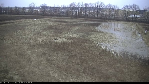 Cell 3_24-02-06_07-46-11-93