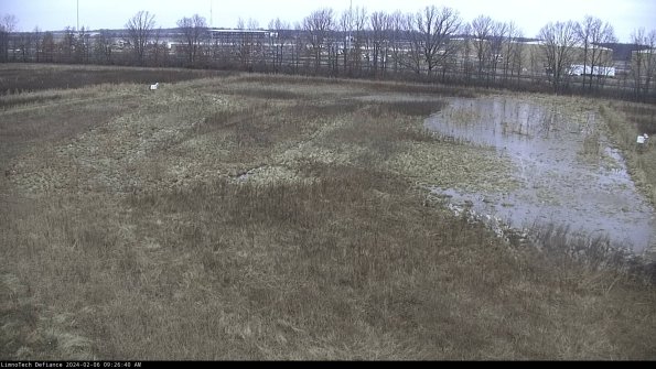 Cell 3_24-02-06_09-26-40-93