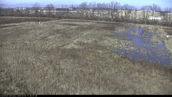 Cell 3_24-02-06_11-40-37-96