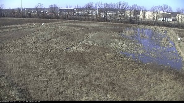 Cell 3_24-02-06_15-01-33-93