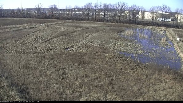 Cell 3_24-02-06_16-08-32-20