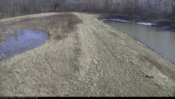 Cell 4 to Basin_24-02-06_11-41-35-95