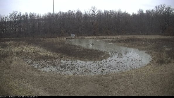 Cell 4_24-02-06_08-20-09-94