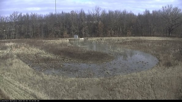 Cell 4_24-02-06_10-34-06-92