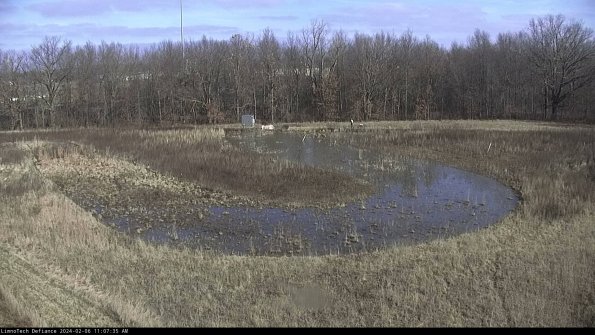 Cell 4_24-02-06_11-07-35-94