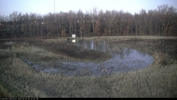 Cell 4_24-02-06_18-22-56-92