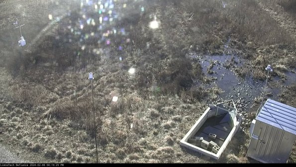 Weather & Flume_24-02-06_16-10-26-18