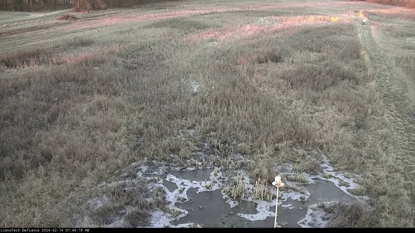 Cell 1_24-02-14_07-46-19-93