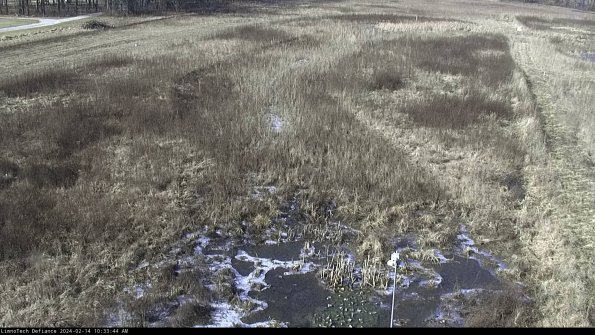 Cell 1_24-02-14_10-33-44-90