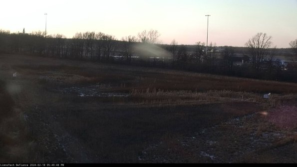 Cell 2_24-02-18_17-49-46-99