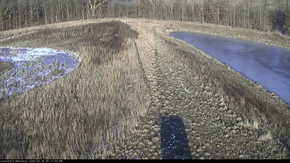 Cell 4 to Basin_24-02-18_17-17-42-93