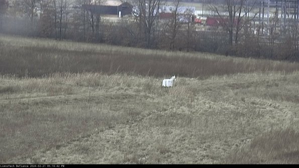 Cell 2 to 3_24-02-21_17-16-43-08