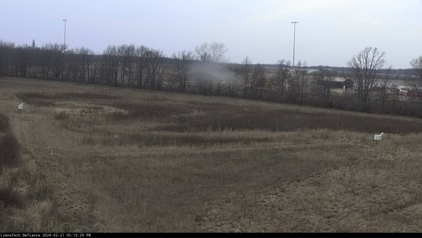 Cell 2_24-02-21_17-16-30-00