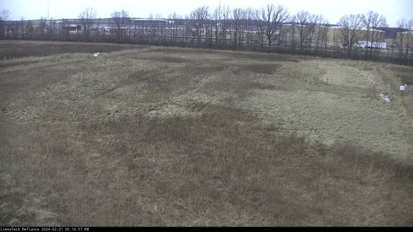 Cell 3_24-02-21_17-16-57-93