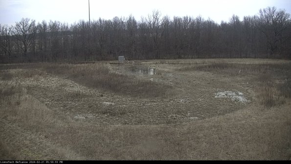 Cell 4_24-02-21_17-50-55-91