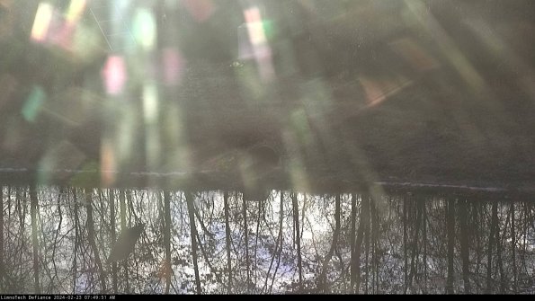 Basin Inflow_24-02-23_07-49-51-92