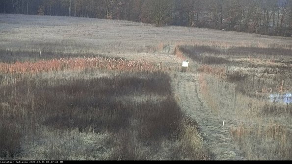 Cell 1 to 2_24-02-23_07-47-45-93