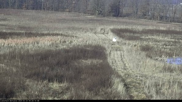 Cell 1 to 2_24-02-23_09-28-14-94