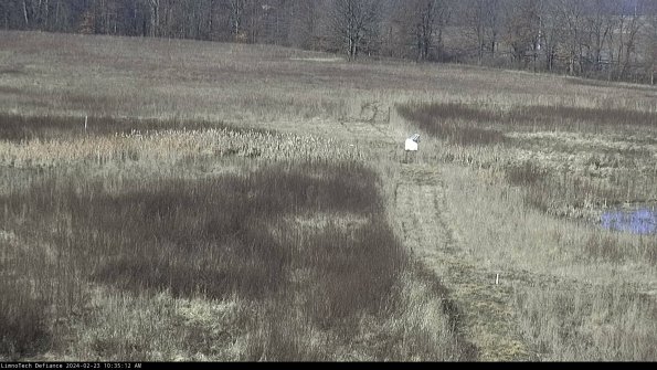 Cell 1 to 2_24-02-23_10-35-12-94