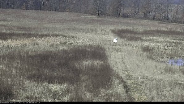 Cell 1 to 2_24-02-23_11-08-42-93