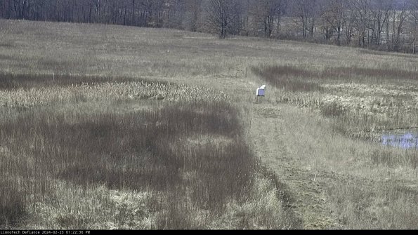 Cell 1 to 2_24-02-23_13-22-36-93