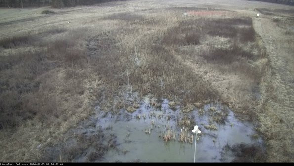 Cell 1_24-02-23_07-14-02-90